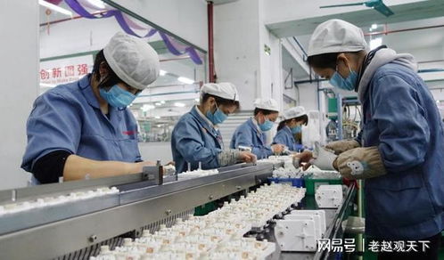 2023年中國外貿承壓 國內貿易代理視角下的多重因素解析