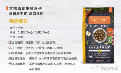 高性價(jià)比貓糧推薦 進(jìn)口與國(guó)產(chǎn)精選及購(gòu)買指引